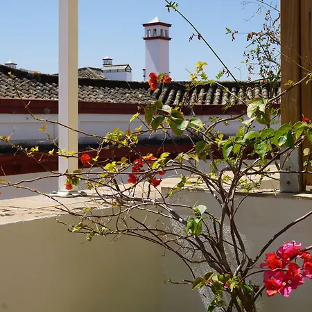 Black Swan Ostello Siviglia