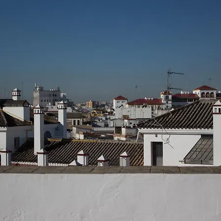 Hostel Black Swan Seville